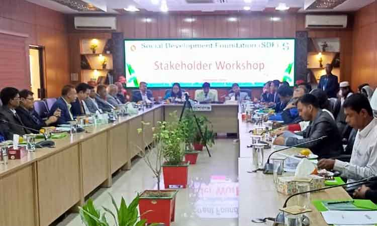 গ্রামীণ দরিদ্র ও অতিদরিদ্র জনগোষ্ঠীর আর্থ-সামাজিক উন্নয়নে কিশোরগঞ্জে এসডিএফ এর কর্মশালা