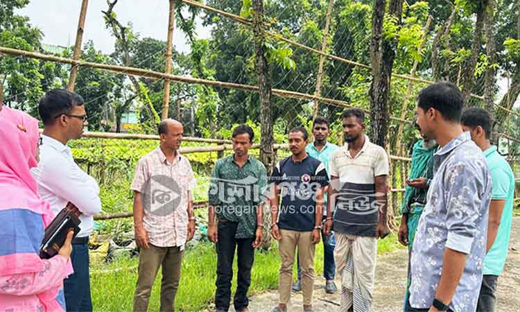 কিশোরগঞ্জে গাঁজাসহ আটক চারজনের জেল-জরিমানা
