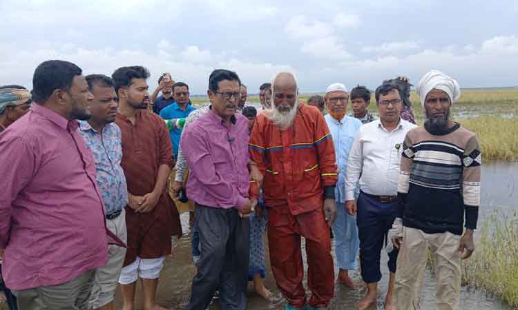 হাওরের কৃষককে বাঁচাতে দেশীয় ও আন্তর্জাতিক সম্প্রদায়ের সহায়তা চাইলেন ফজলুর রহমান এমপি