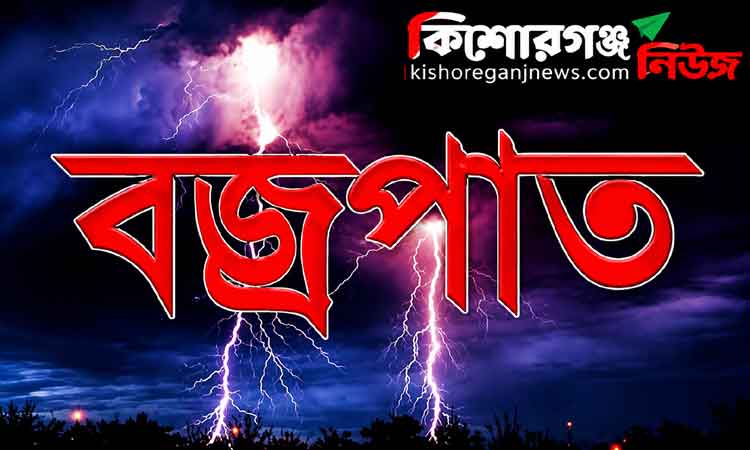 পাকুন্দিয়ায় বজ্রপাতে কৃষক নিহত